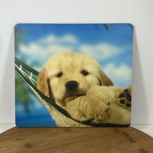 Fellowes Recycled Mouse Pad 9 X8 Puppy in Hammock